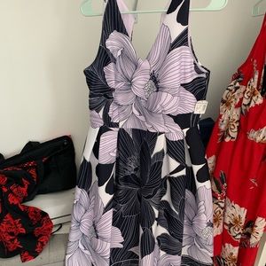 Dress barn size 6 dress